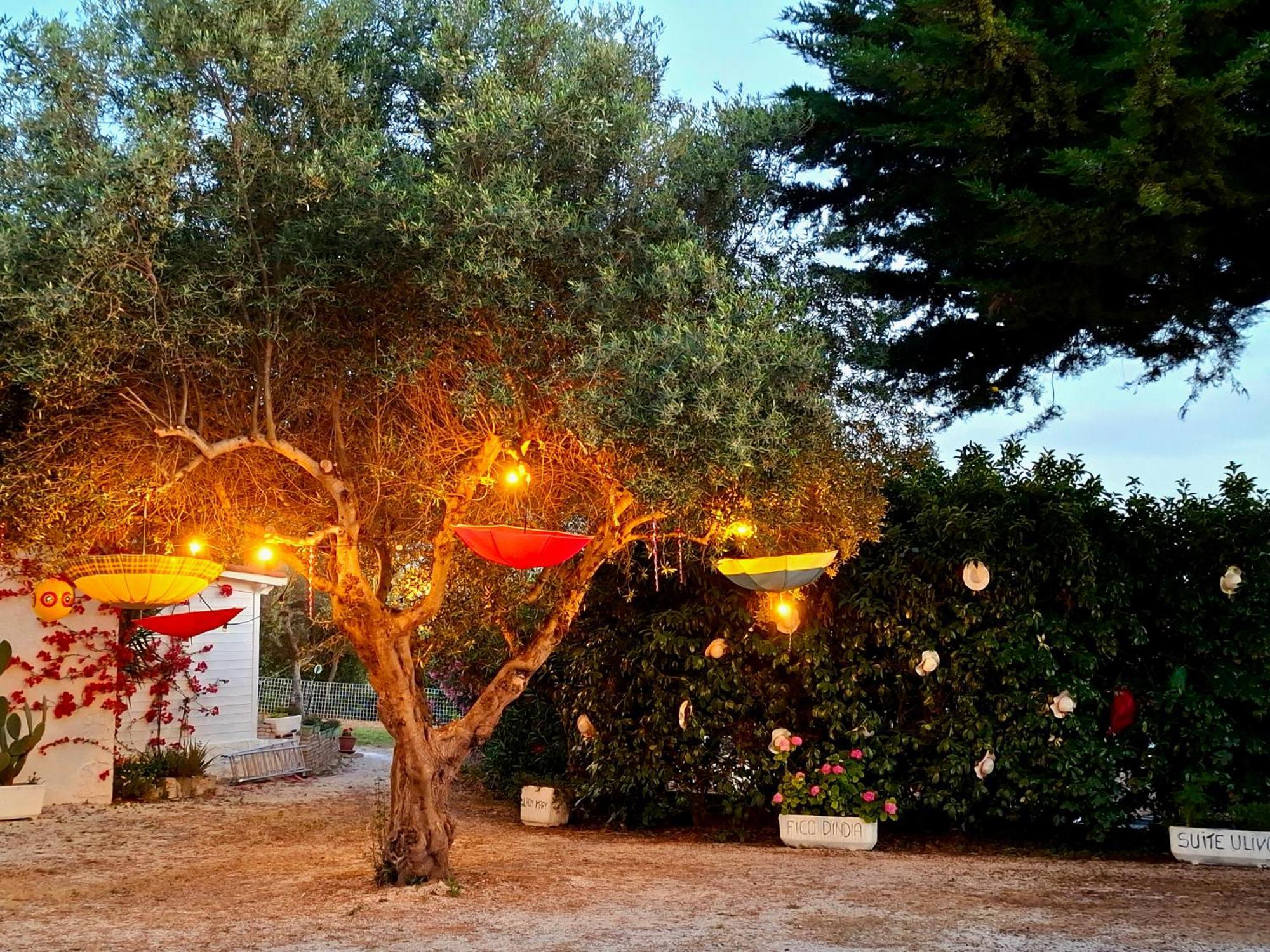 Bed and Breakfast Mirella Charming Alberobello Exteriér fotografie