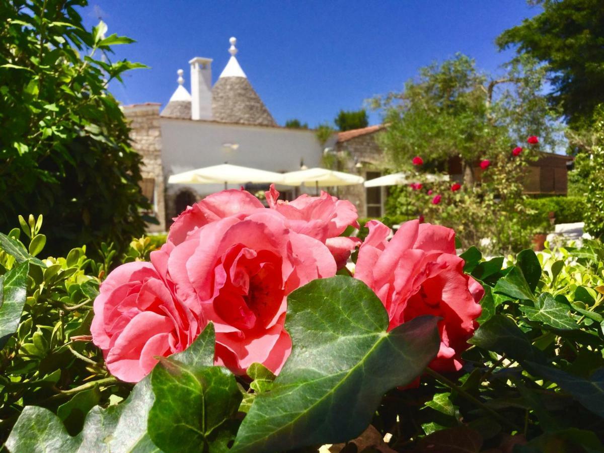 Bed and Breakfast Mirella Charming Alberobello Exteriér fotografie